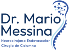 Dr.  Mario Messina